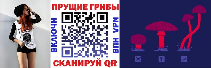 Галлюциногенные грибы ЛСД где найти наркотики Вихоревка